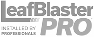 Leaf Blasters Pro